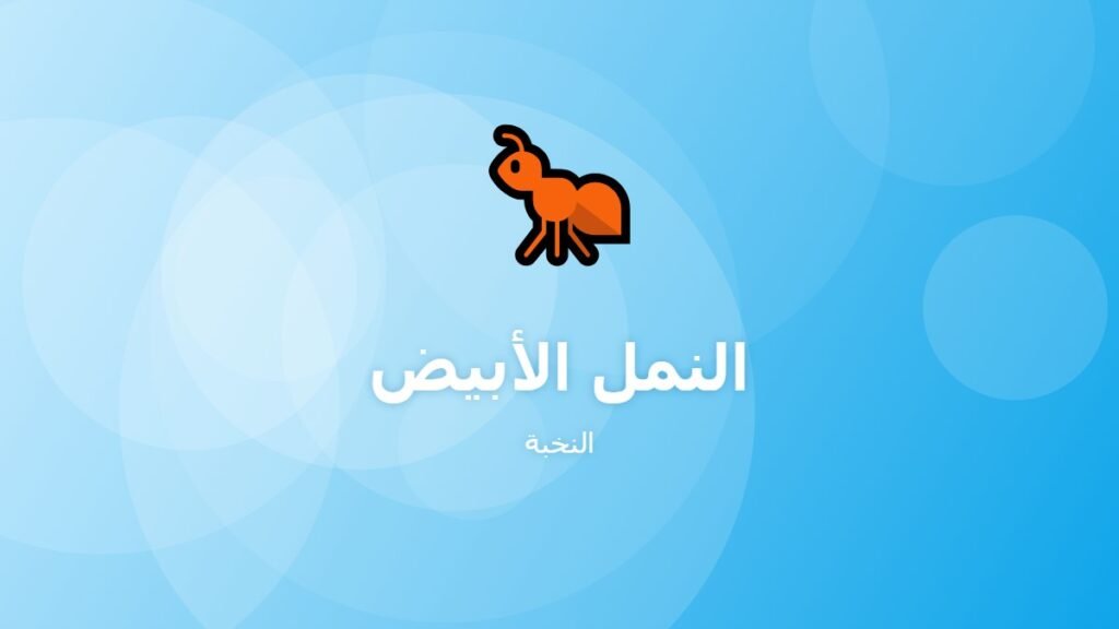 النمل الأبيض